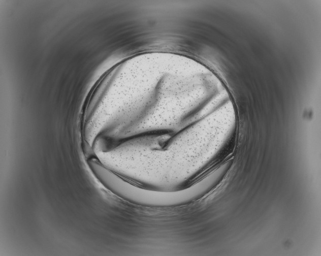 X0000097291434200803141500