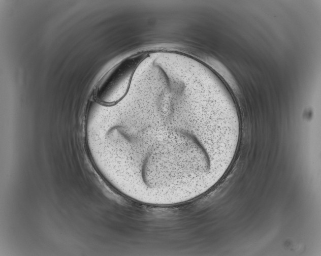 X0000097291436200803141500