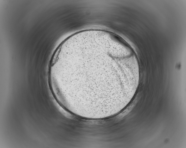 X0000097291438200803141501