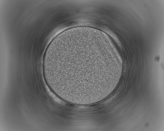 X0000097291439200803141501