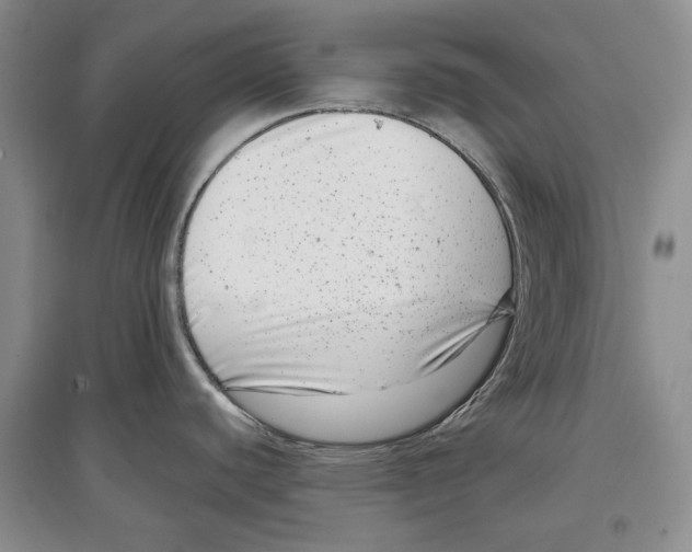 X0000097291440200803141501