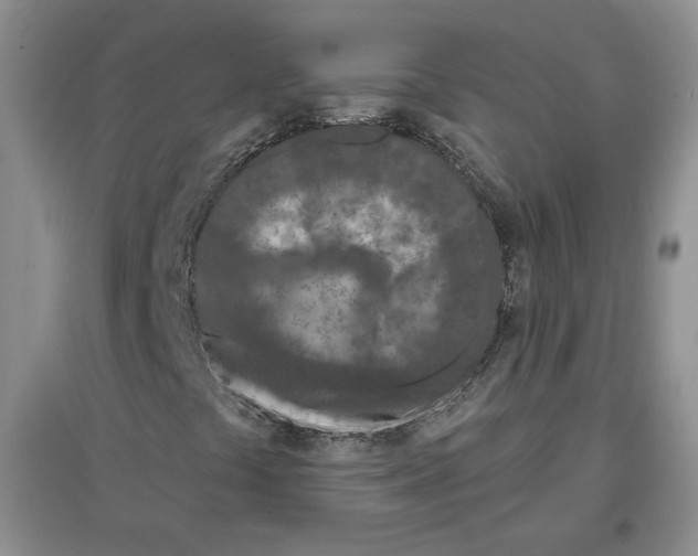 X0000097291441200803141500