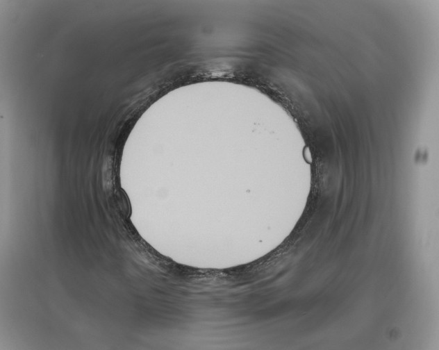 X0000097291442200803141500