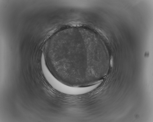 X0000097291444200803141500