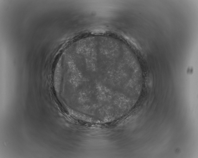 X0000097291445200803141500