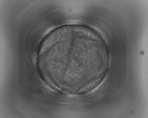 X0000097291449200803141500