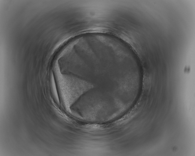 X0000097291450200803141500