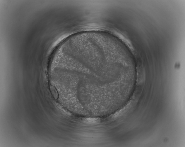 X0000097291453200803141500