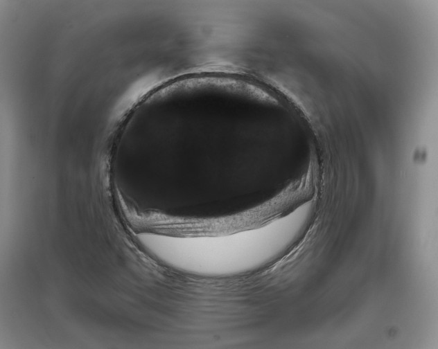 X0000097291455200803141500