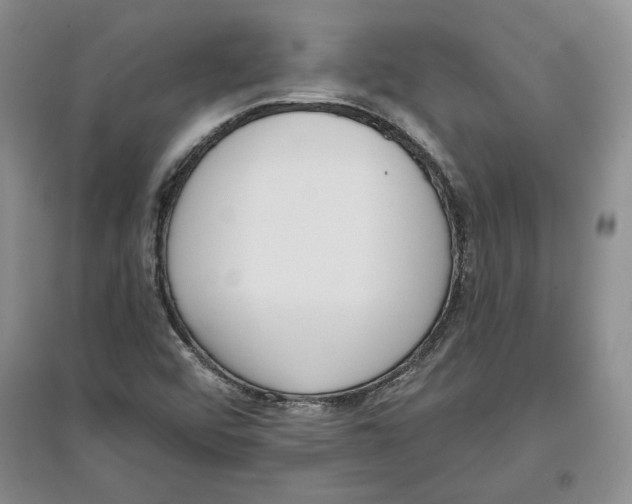 X0000097291456200803141500