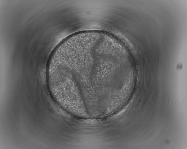 X0000097291457200803141500