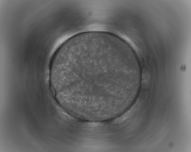 X0000097291461200803141500