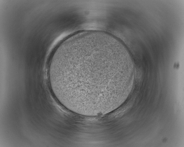 X0000097291462200803141500