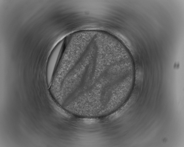 X0000097291465200803141500