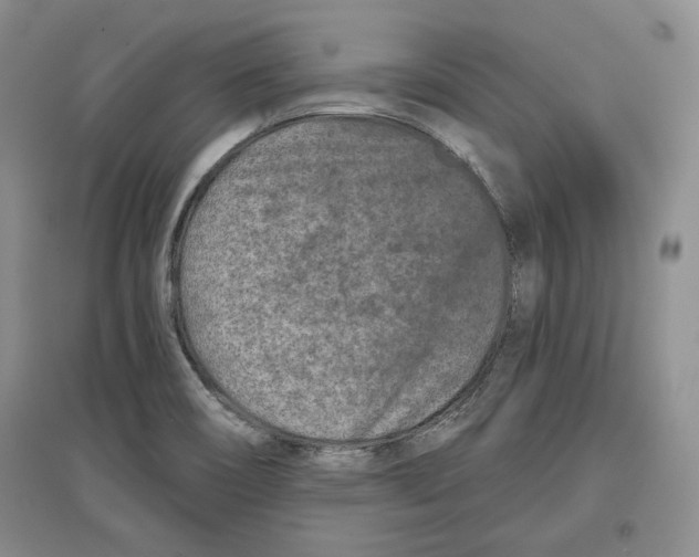 X0000097291466200803141500