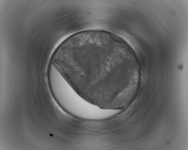 X0000097291468200803141459