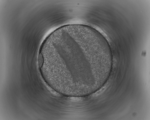 X0000097291469200803141459