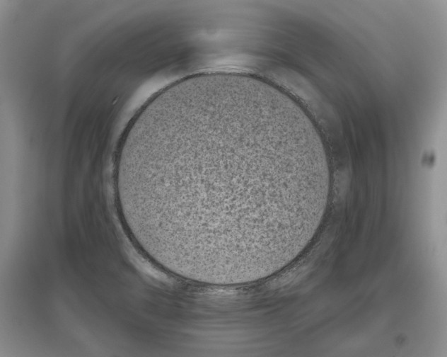 X0000097291470200803141459