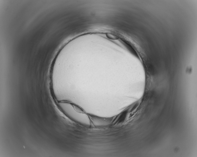 X0000097291471200803141459