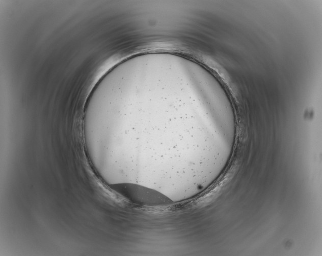 X0000097291473200803141459