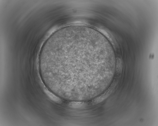 X0000097291474200803141459