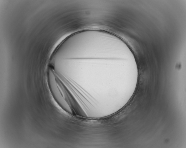 X0000097291476200803141459