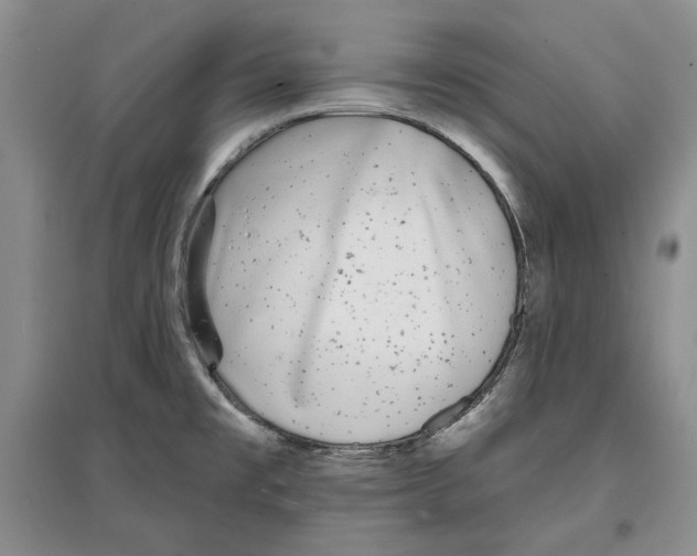 X0000097291477200803141459