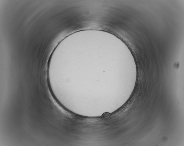 X0000097291479200803141459