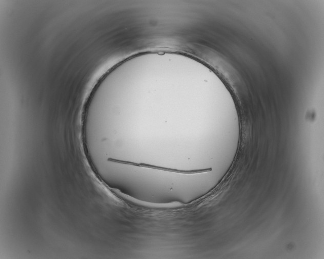 X0000097291480200803141459