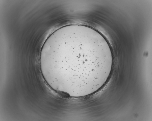 X0000097291481200803141459