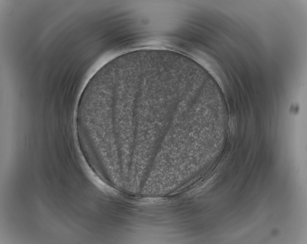 X0000097291482200803141459