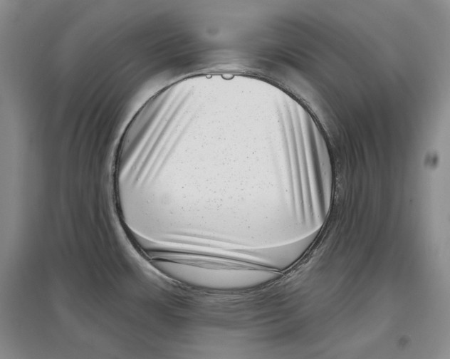 X0000097291483200803141459