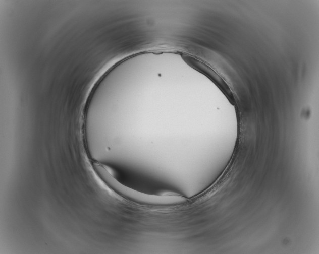 X0000097291484200803141459