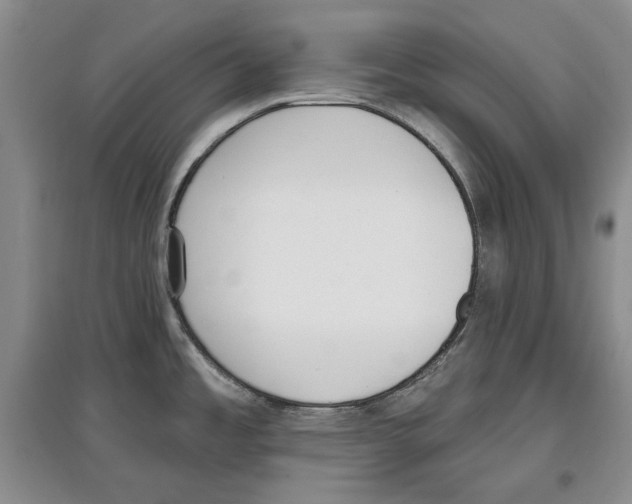 X0000097291485200803141459