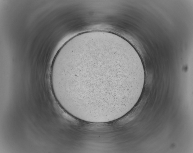 X0000097291486200803141459