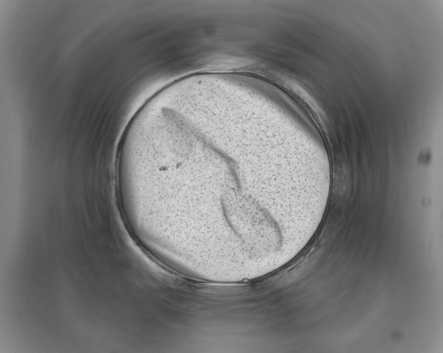 X0000097291487200803141459