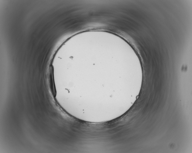 X0000097291488200803141459