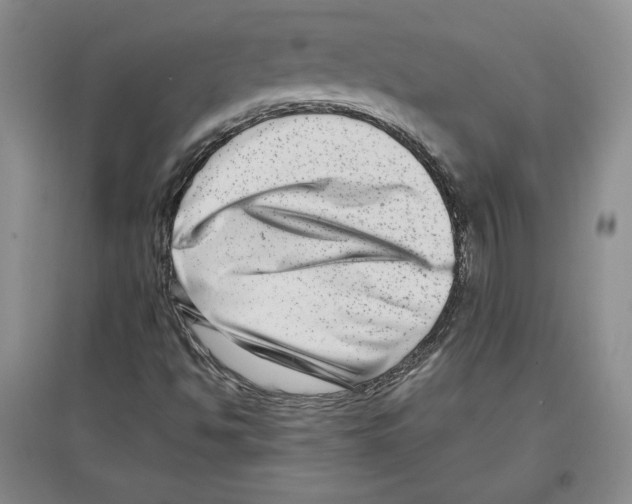 X0000097291494200803141458