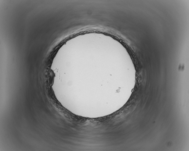 X0000097291496200803141458