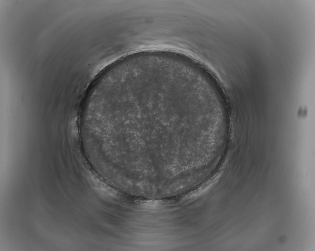 X0000097291497200803141458