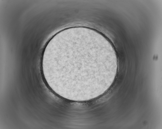 X0000097291500200803141459