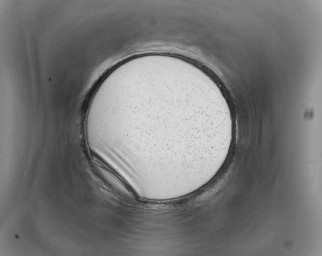 X0000097291501200803141459