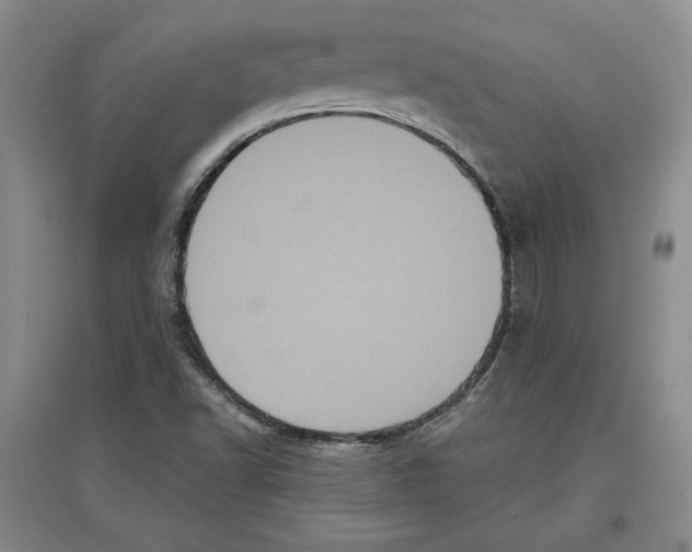 X0000097291502200803141459