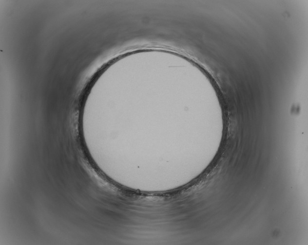 X0000097291503200803141459