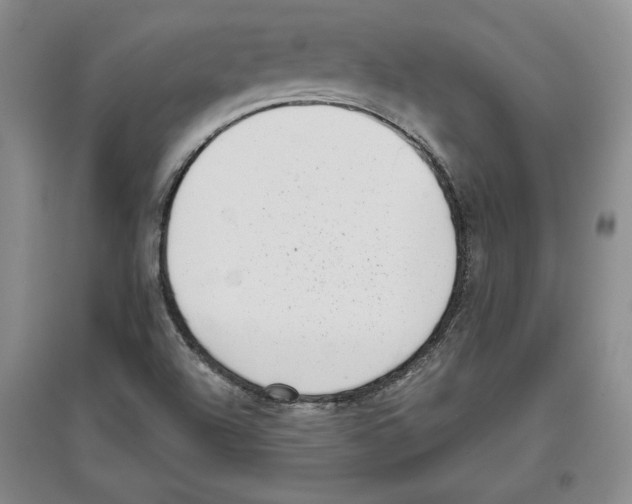 X0000097291504200803141459