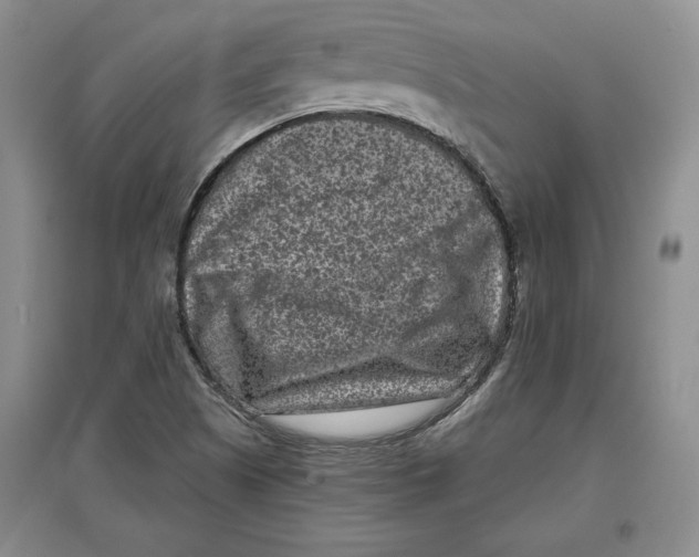 X0000097291505200803141459