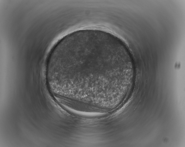 X0000097291506200803141459