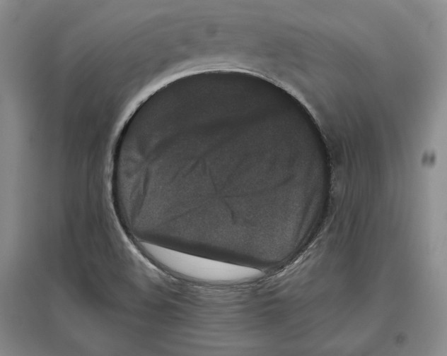 X0000097291508200803141459