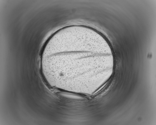 X0000097291509200803141459