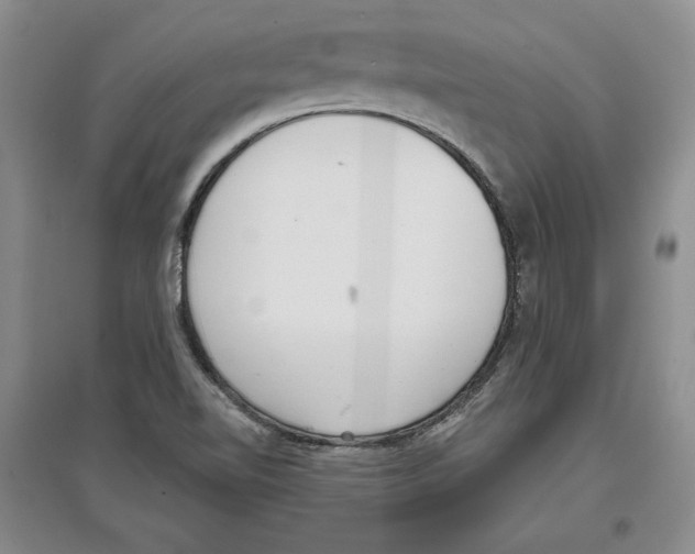 X0000097291510200803141459